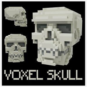 Voxel Human Skull