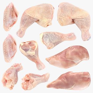 3D Fresh Raw Chicken Collection 2