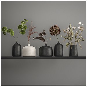Collection of bouquets of dried flowers 209