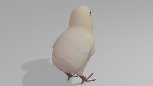 3D model 2x Pack Hen plus Baby Chick