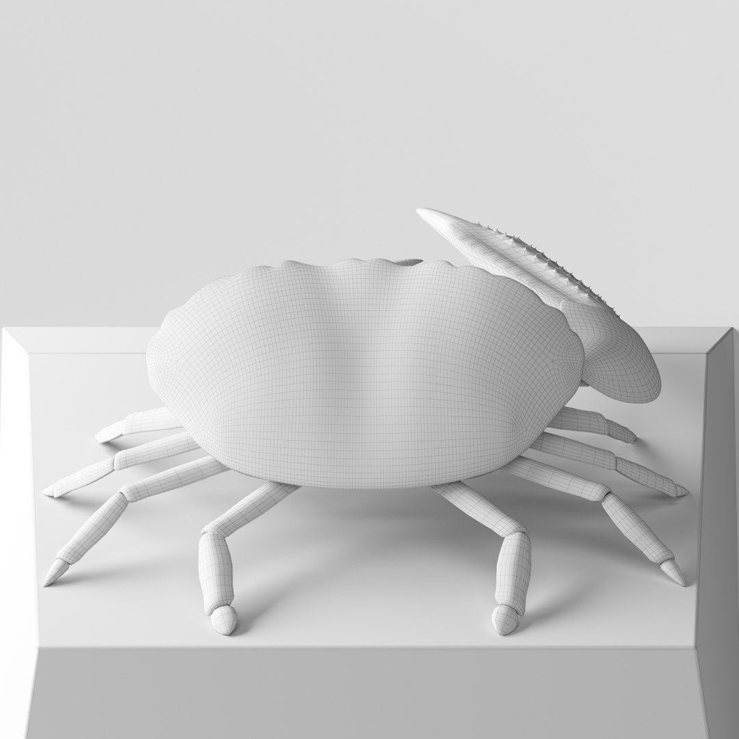 Decorative Copper Sculpture Crab 3D model https://p.turbosquid.com/ts-thumb/O9/H5k8Sz/Sk/crab_019/jpg/1619129591/1920x1080/fit_q87/0dd5a907356b4b1de5d74366b19aae5958d5502b/crab_019.jpg