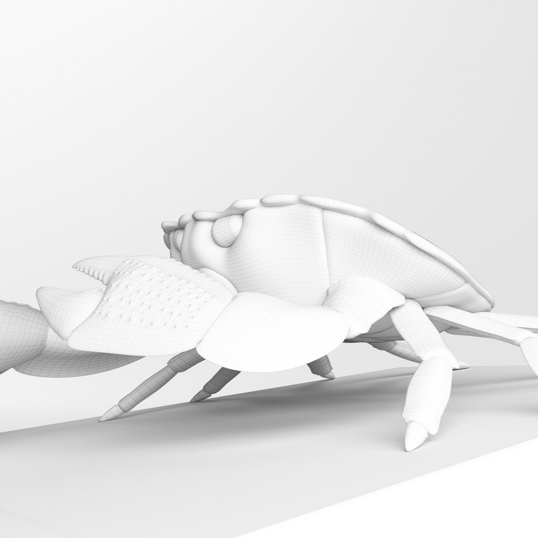 Decorative Copper Sculpture Crab 3D model https://p.turbosquid.com/ts-thumb/O9/H5k8Sz/sn/crab_018/jpg/1619129591/1920x1080/fit_q87/0f7759ba97eef83a9717e26bd58662dc851fa0c4/crab_018.jpg