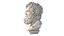 Zues head bust