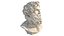 Zues head bust