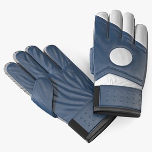 3D Soccer Goalkeeper Gloves model