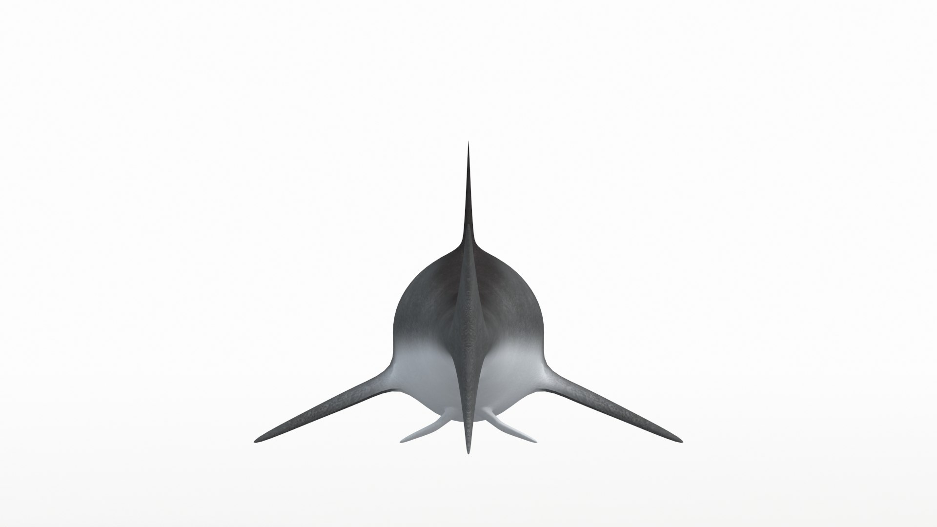3D Shark Model - TurboSquid 2165452