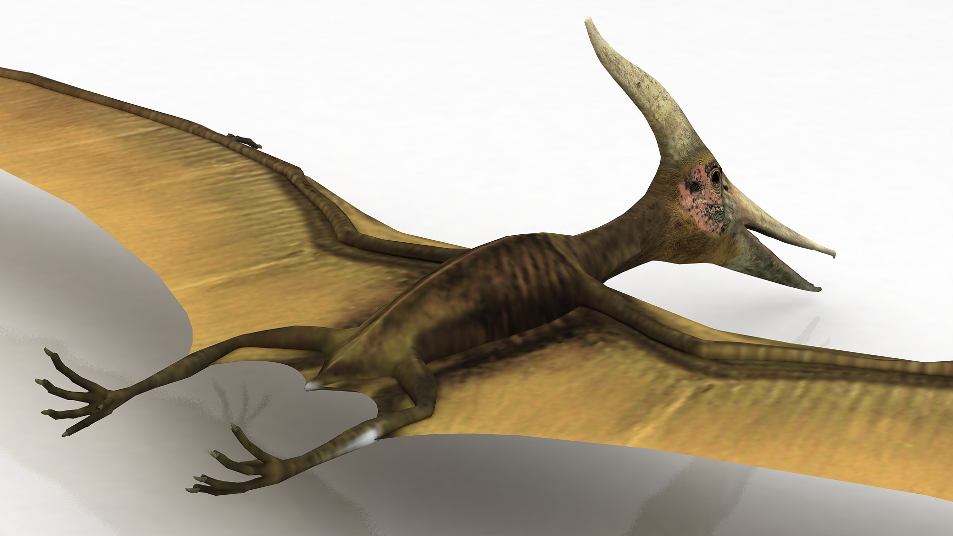 Pteranodon Flying Carnivorous Reptile Landing Pose with Fur PNG Images &  PSDs for Download