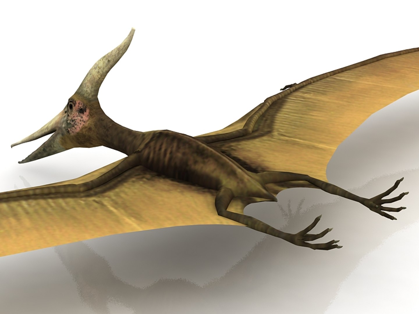 Pteranodon Flying Carnivorous Reptile Landing Pose with Fur PNG Images &  PSDs for Download