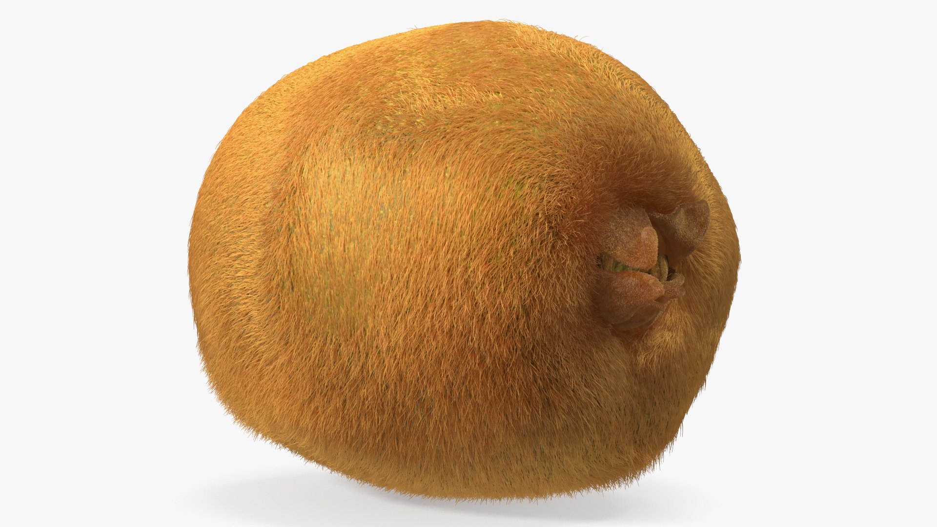 Kiwi Fruit with Fur 3D model https://p.turbosquid.com/ts-thumb/O9/wVJ4Du/1j/kiwifruitwithfurvray3dmodel008/jpg/1692472016/1920x1080/fit_q87/f3f96d21c96ede35d8bff1f79c1d62748d9c0add/kiwifruitwithfurvray3dmodel008.jpg