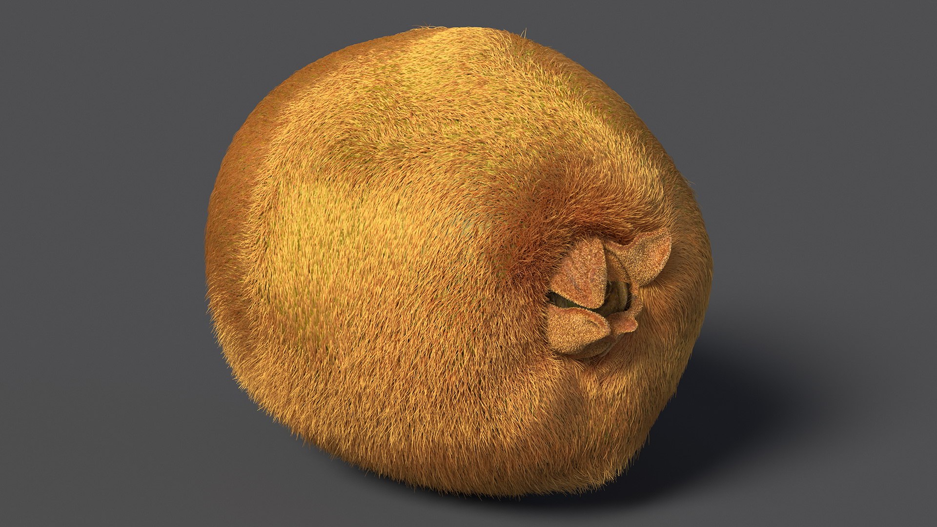 Kiwi Fruit with Fur 3D model https://p.turbosquid.com/ts-thumb/O9/wVJ4Du/6G/kiwifruitwithfurvray3dmodel006/jpg/1692472008/1920x1080/fit_q87/721c3b06d7e24892a9634a8cb74a61652463dbf7/kiwifruitwithfurvray3dmodel006.jpg