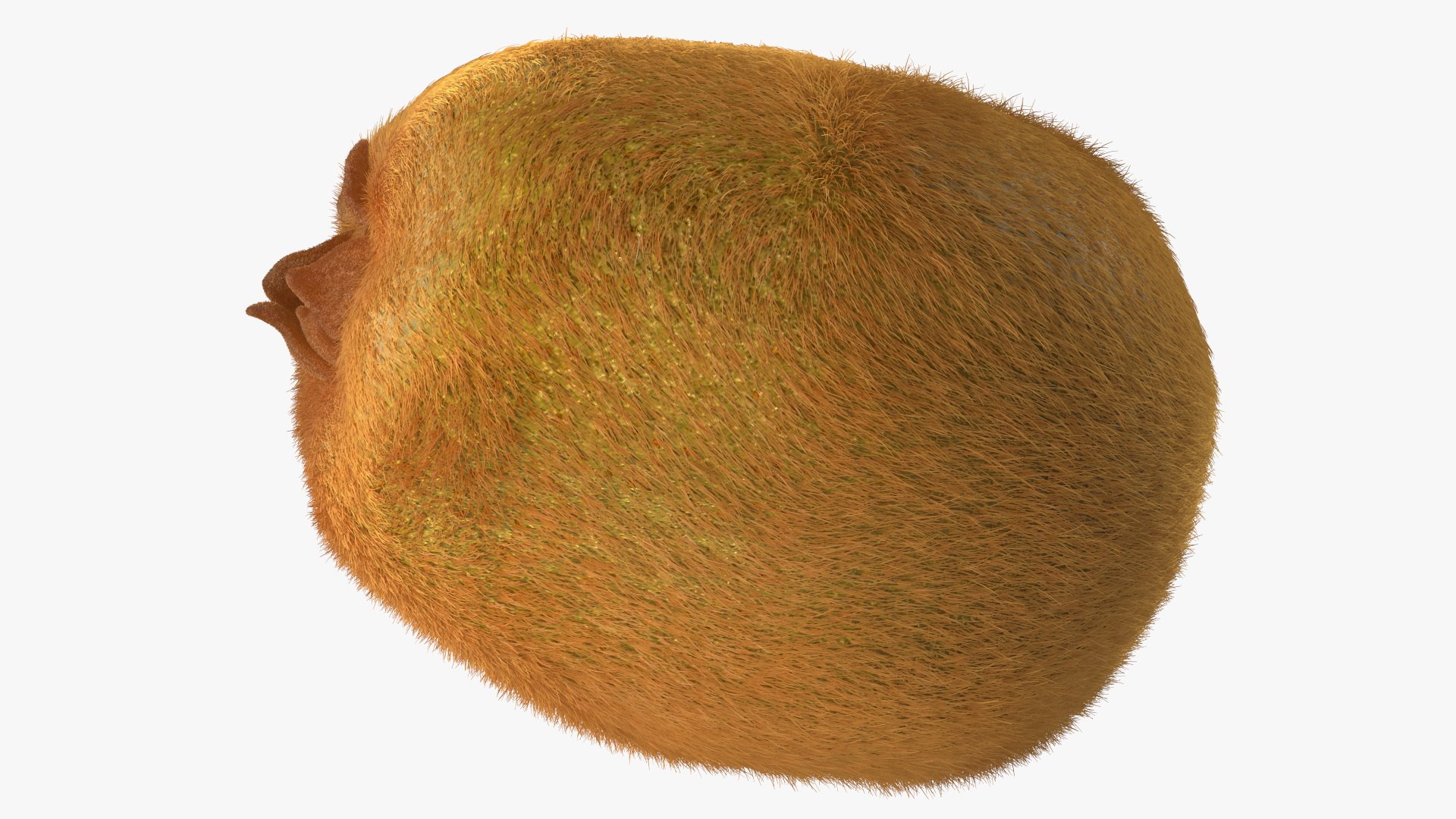 Kiwi Fruit with Fur 3D model https://p.turbosquid.com/ts-thumb/O9/wVJ4Du/99/kiwifruitwithfurvray3dmodel012/jpg/1692472030/1920x1080/fit_q87/c2a04337b1cafa63dedc9e475b1564b3d4b52d54/kiwifruitwithfurvray3dmodel012.jpg