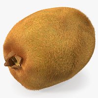 Kiwi Fruit with Fur
