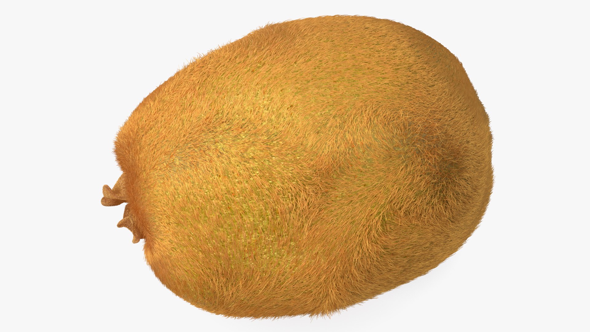 Kiwi Fruit with Fur 3D model https://p.turbosquid.com/ts-thumb/O9/wVJ4Du/UI/kiwifruitwithfurvray3dmodel011/jpg/1692472026/1920x1080/fit_q87/8bb42d15c39ab62f77fc1c7bc9d7472b2d2653c1/kiwifruitwithfurvray3dmodel011.jpg