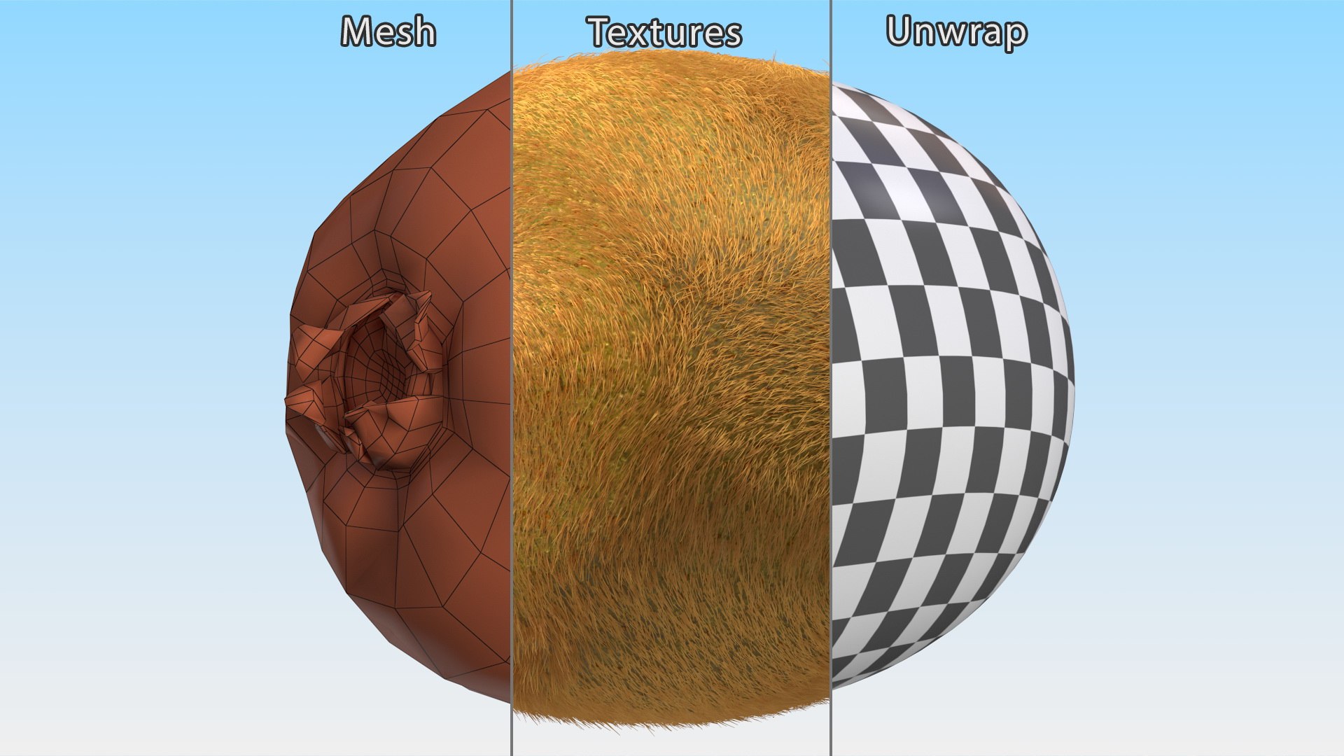 Kiwi Fruit with Fur 3D model https://p.turbosquid.com/ts-thumb/O9/wVJ4Du/YW/kiwifruitwithfurvray3dmodel013/jpg/1692472033/1920x1080/fit_q87/6e842eefb7bfee1b61bcc06e1685370fb6181da0/kiwifruitwithfurvray3dmodel013.jpg