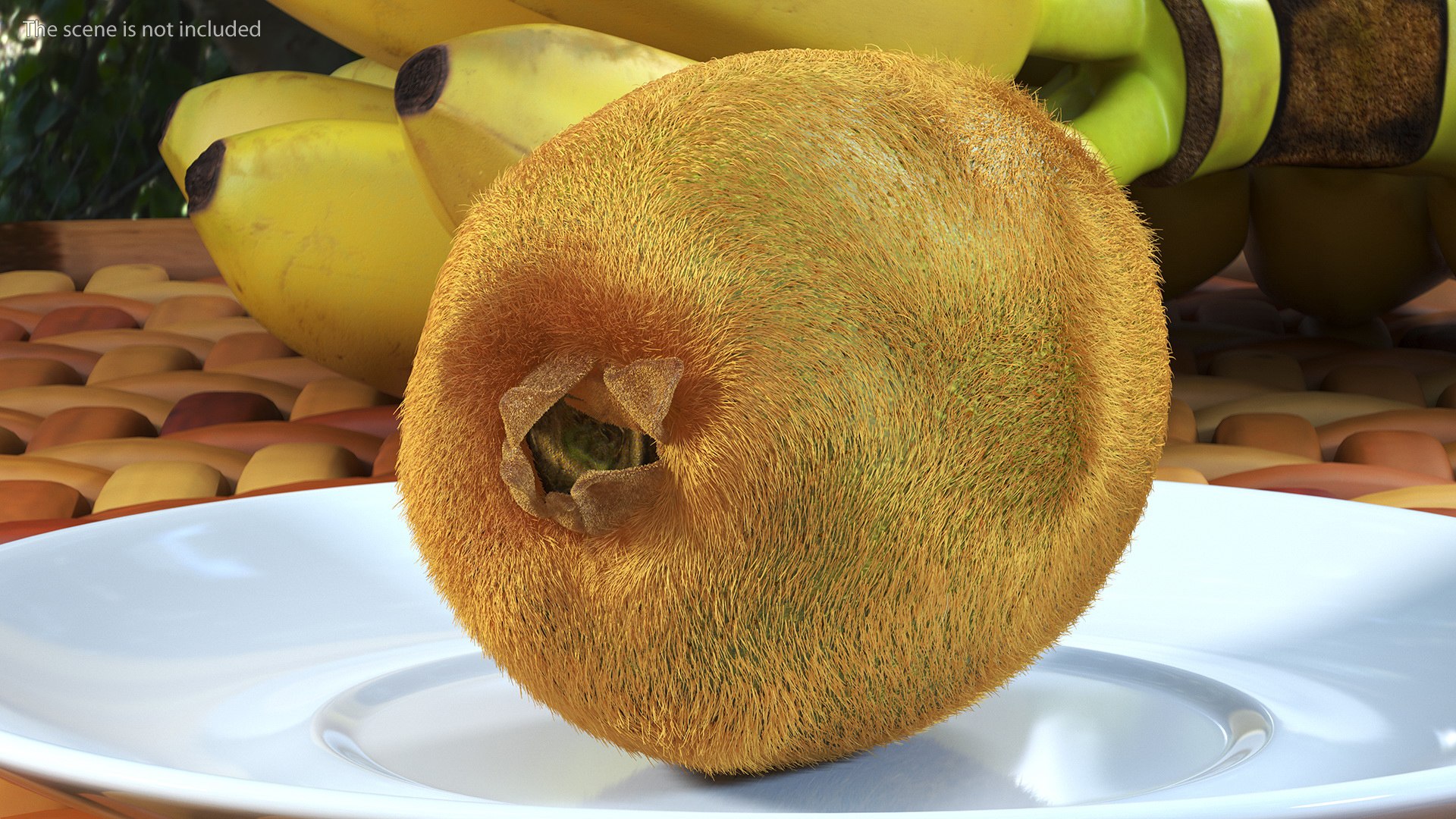 Kiwi Fruit with Fur 3D model https://p.turbosquid.com/ts-thumb/O9/wVJ4Du/bX/kiwifruitwithfurvray3dmodel004/jpg/1692472000/1920x1080/fit_q87/4d15ae309187876e7254e7e31d508ba96fa42921/kiwifruitwithfurvray3dmodel004.jpg