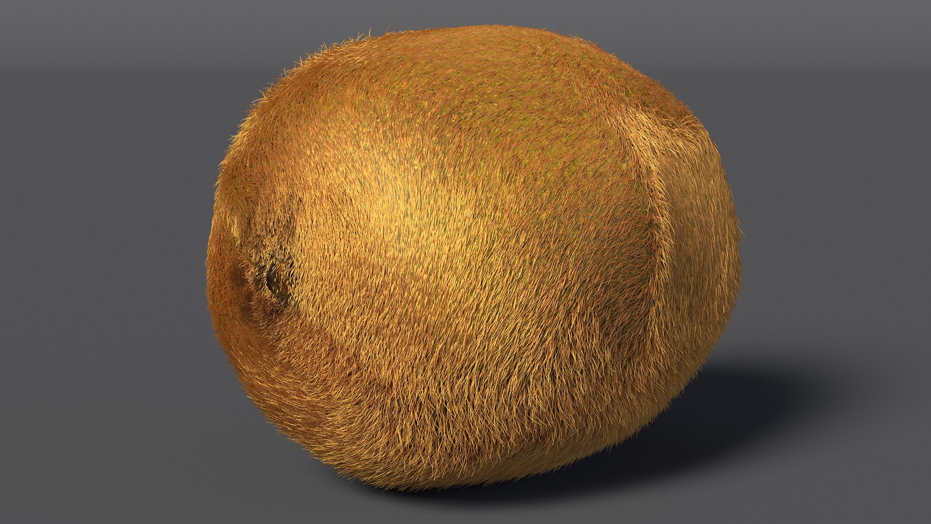 Kiwi Fruit with Fur 3D model https://p.turbosquid.com/ts-thumb/O9/wVJ4Du/m7/kiwifruitwithfurvray3dmodel007/jpg/1692472012/1920x1080/fit_q87/dcaae553095af78ee33bc76505713dbf5e9ddea8/kiwifruitwithfurvray3dmodel007.jpg