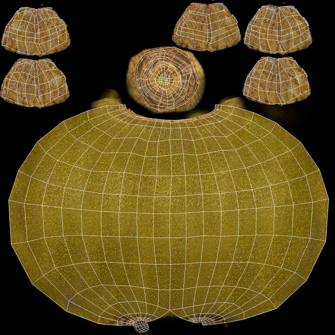 Kiwi Fruit with Fur 3D model https://p.turbosquid.com/ts-thumb/O9/wVJ4Du/rJ/kiwifruitwithfurvray3dmodel016/jpg/1692472043/1920x1080/fit_q87/b48d6bea54d67dd74f5a18eb5949437282c74a6f/kiwifruitwithfurvray3dmodel016.jpg