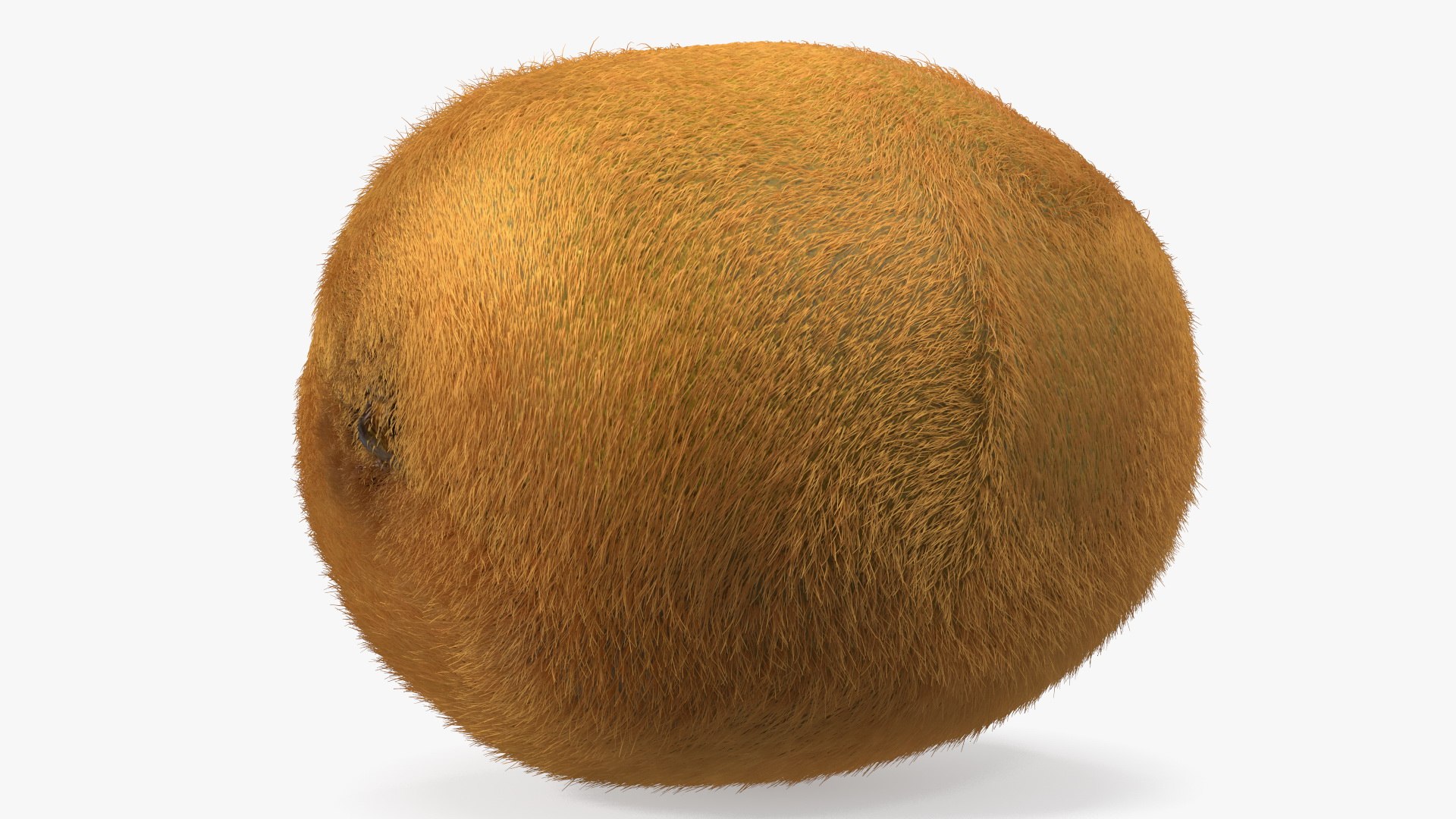 Kiwi Fruit with Fur 3D model https://p.turbosquid.com/ts-thumb/O9/wVJ4Du/vy/kiwifruitwithfurvray3dmodel009/jpg/1692472019/1920x1080/fit_q87/ac799904077cf5e69c31811239e653b76f61fba2/kiwifruitwithfurvray3dmodel009.jpg