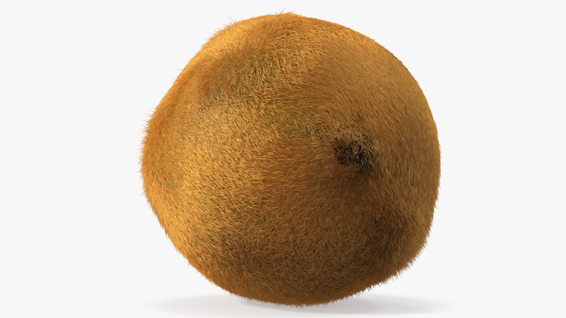 Kiwi Fruit with Fur 3D model https://p.turbosquid.com/ts-thumb/O9/wVJ4Du/y5/kiwifruitwithfurvray3dmodel010/jpg/1692472022/1920x1080/fit_q87/e0dd043d1a607140e8bdd4ba25cf49b20af7c5fc/kiwifruitwithfurvray3dmodel010.jpg