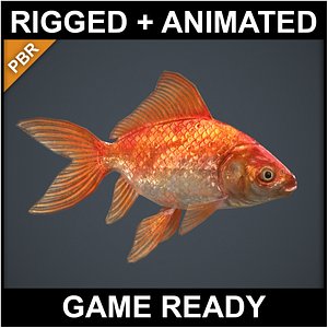 goldfish pbr ready - model