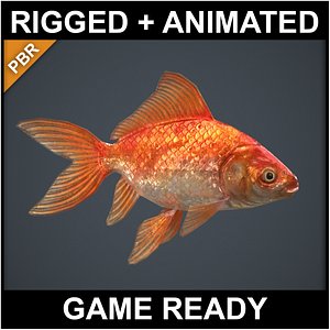 Goldfish - PBR Game Ready