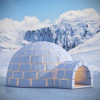 Arctic Igloo Shelter on Snow