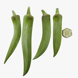 ladies finger 3D model