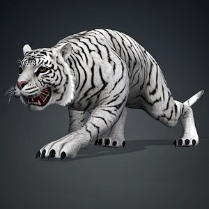 3D Tiger-A2 model