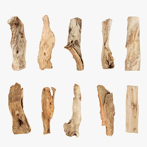 3D PSscanned Wood logs Pack 3 model