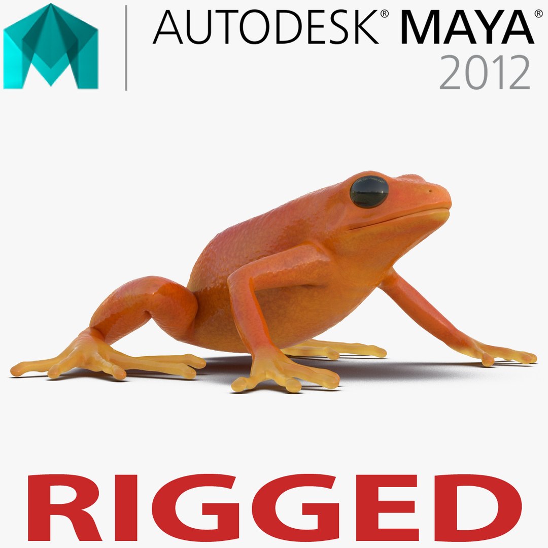 Mantella Frog Rigged for Maya 3D Model 3D model preview