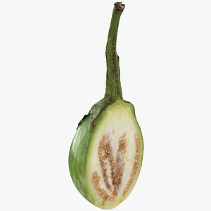 3D Round Green Eggplant Cut 01 model