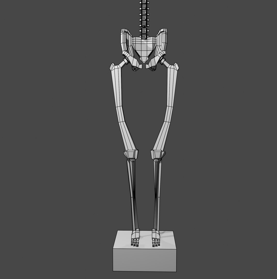 3D Skeleton And Shield With Sword Model - TurboSquid 1829929