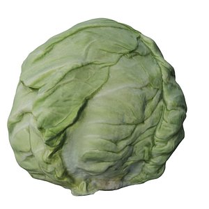 3D cabbage head