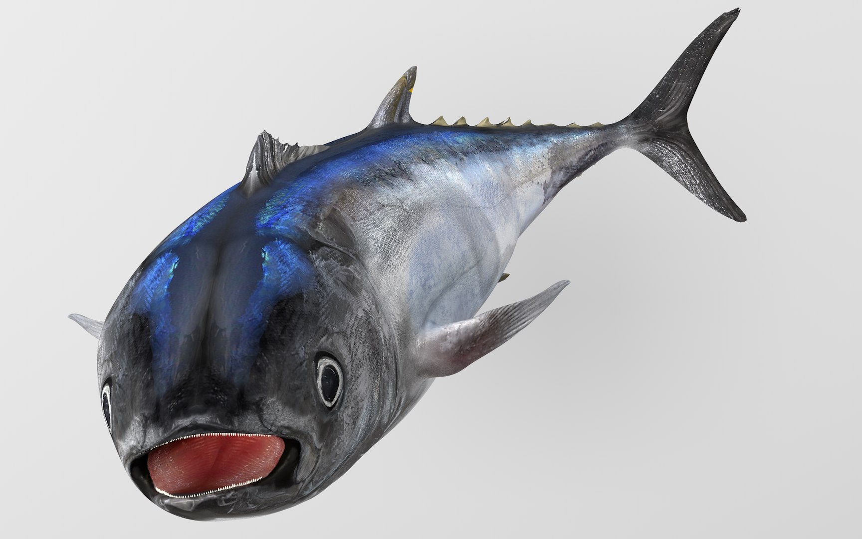3D TUNA FISH Rigged L1541 model - TurboSquid 1814479