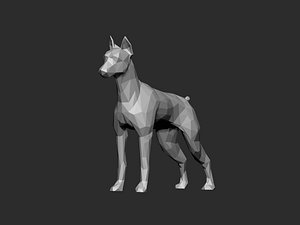 Mini doberman model
