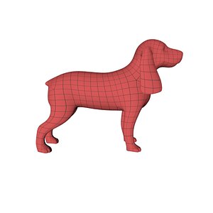 base mesh cocker spaniel x