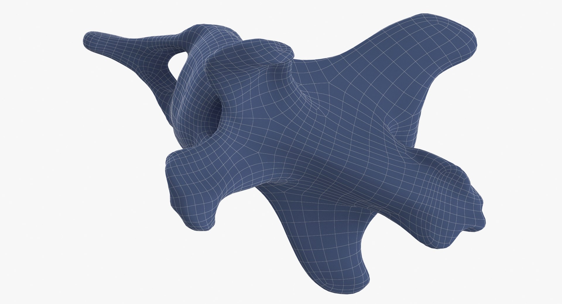 Domestic Dog Arcus Hemalis Caudal Vertebrae Bone Cd1 3D model https://p.turbosquid.com/ts-thumb/OA/WMD7wP/RT/domestic_dog_arcus_hemalis_caudal_vertebrae_bone_cd1_wireframe_0007/jpg/1669232562/1920x1080/fit_q87/0799edb685a7c0cf24421e2944530331884ad784/domestic_dog_arcus_hemalis_caudal_vertebrae_bone_cd1_wireframe_0007.jpg