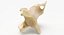 Cane domestico Arcus Hemalis Caudal Vertebrae Osso Cd1