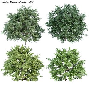 Outdoor Bushes Collection vol 89 3D model