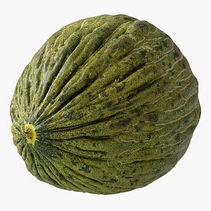 3D Melon Piel De Sapo