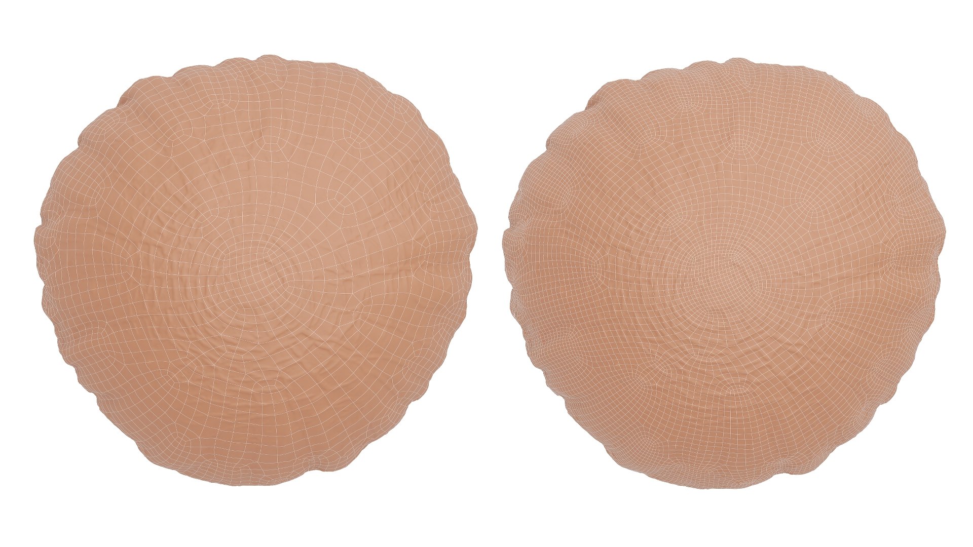3D Melon Piel De Sapo TurboSquid 1963891