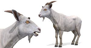 3D model goat male animations