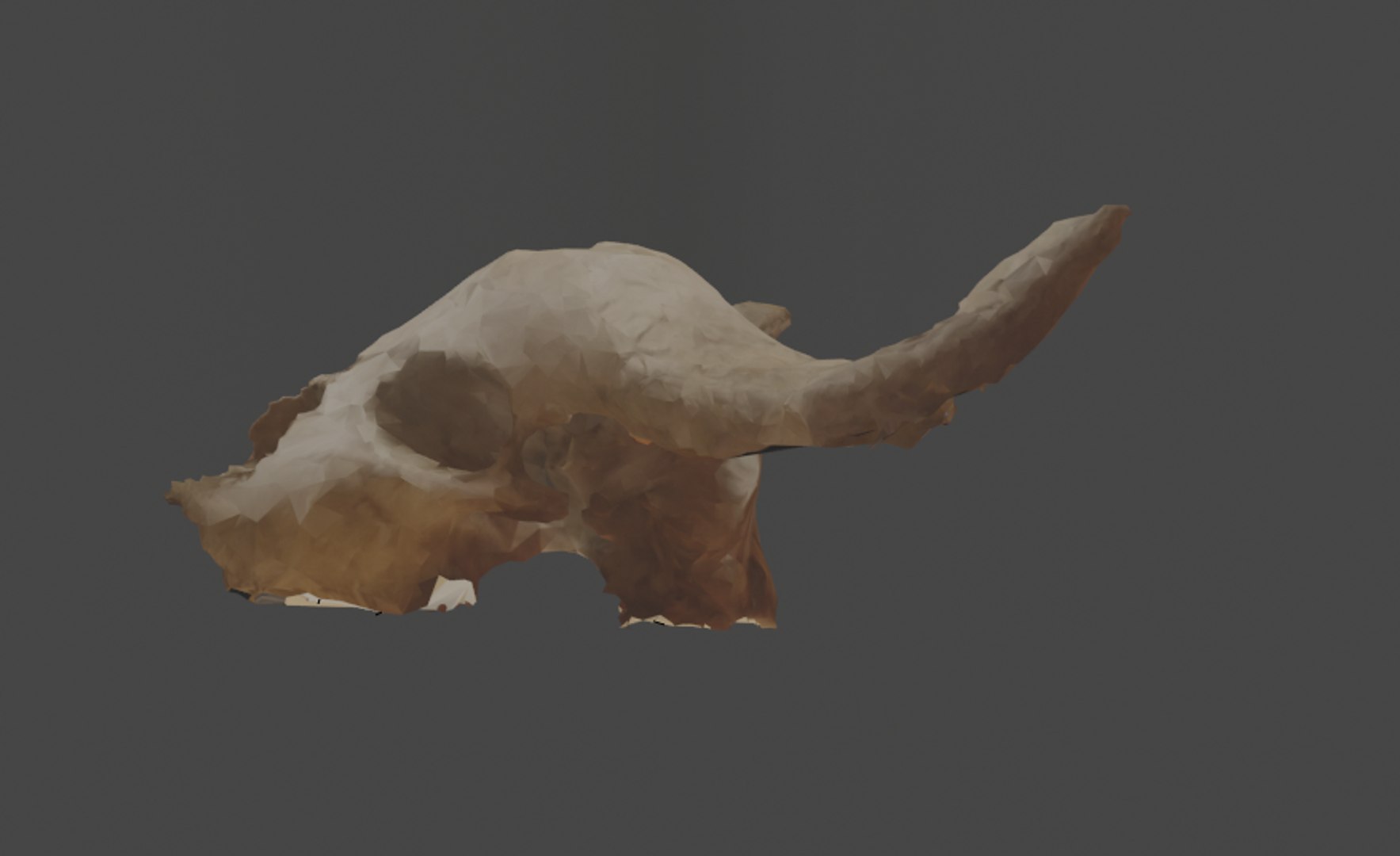 3D photoscan buffalo skull https://p.turbosquid.com/ts-thumb/OA/pz072m/XspHSFPk/skll5/png/1587632556/1920x1080/fit_q87/300e407895e77c846398f6b928dd400ceebc4416/skll5.jpg