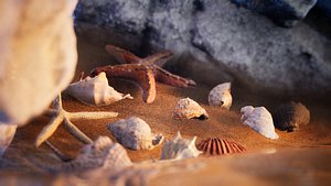 3D model Sea Shells 24 Assets