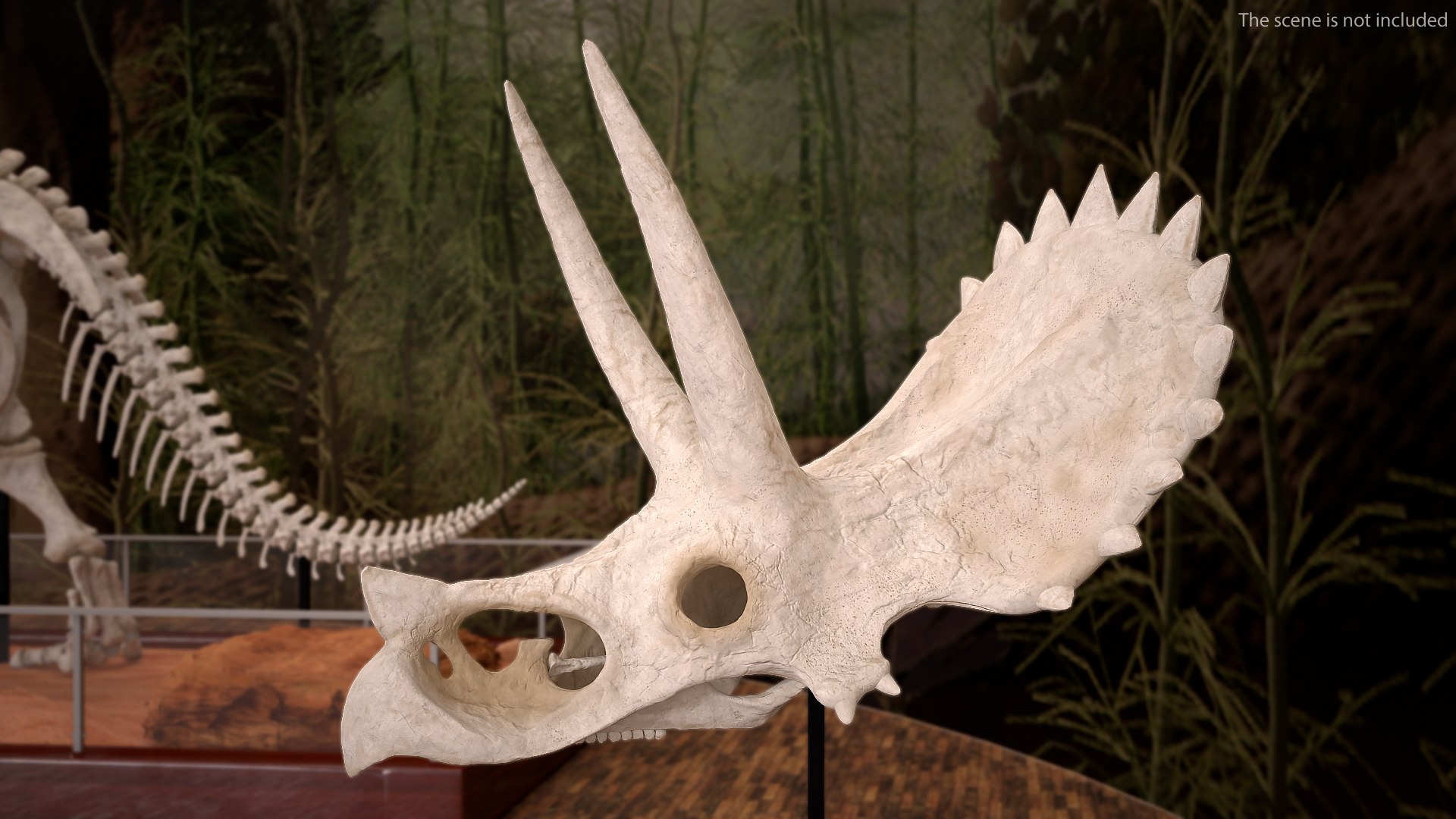 triceratops skull animal 3D model https://p.turbosquid.com/ts-thumb/OB/4tskwg/6bYZbBKi/triceratopsskullpartmb3dmodel002/jpg/1580735241/1920x1080/fit_q87/4dfc251db43432ae2e22af650ccca1f857a92f7d/triceratopsskullpartmb3dmodel002.jpg