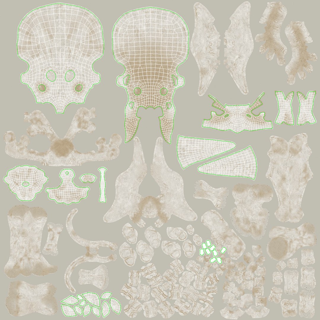 triceratops skull animal 3D model https://p.turbosquid.com/ts-thumb/OB/4tskwg/8nud3gwC/triceratopsskullpartmb3dmodel011/jpg/1580735300/1920x1080/fit_q87/91099f6f92e4fac93beb8ce7dd76c3256d0ca1f4/triceratopsskullpartmb3dmodel011.jpg