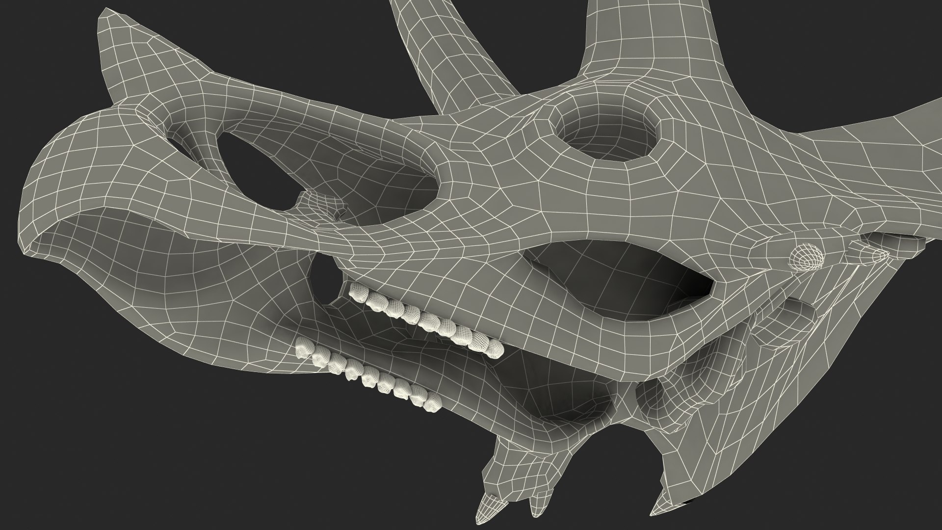 triceratops skull animal 3D model https://p.turbosquid.com/ts-thumb/OB/4tskwg/VzmmsdDw/triceratopsskullpartmb3dmodel018/jpg/1580735339/1920x1080/fit_q87/182b71e59e164d016015add678fcdb4c249e8f56/triceratopsskullpartmb3dmodel018.jpg