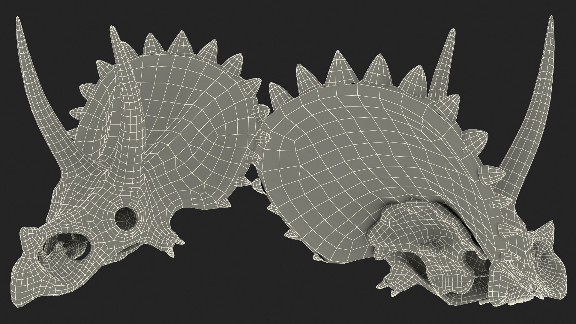 triceratops skull animal 3D model https://p.turbosquid.com/ts-thumb/OB/4tskwg/bowQZcUI/triceratopsskullpartmb3dmodel016/jpg/1580735328/1920x1080/fit_q87/3db1f59f69ee94c7486691f573615cc62b850389/triceratopsskullpartmb3dmodel016.jpg