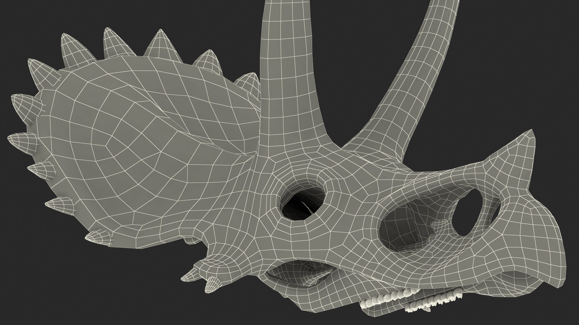 triceratops skull animal 3D model https://p.turbosquid.com/ts-thumb/OB/4tskwg/cVOhn2og/triceratopsskullpartmb3dmodel017/jpg/1580735334/1920x1080/fit_q87/ece6d829c49ca56f1bd70cee2ce7c208460ea029/triceratopsskullpartmb3dmodel017.jpg