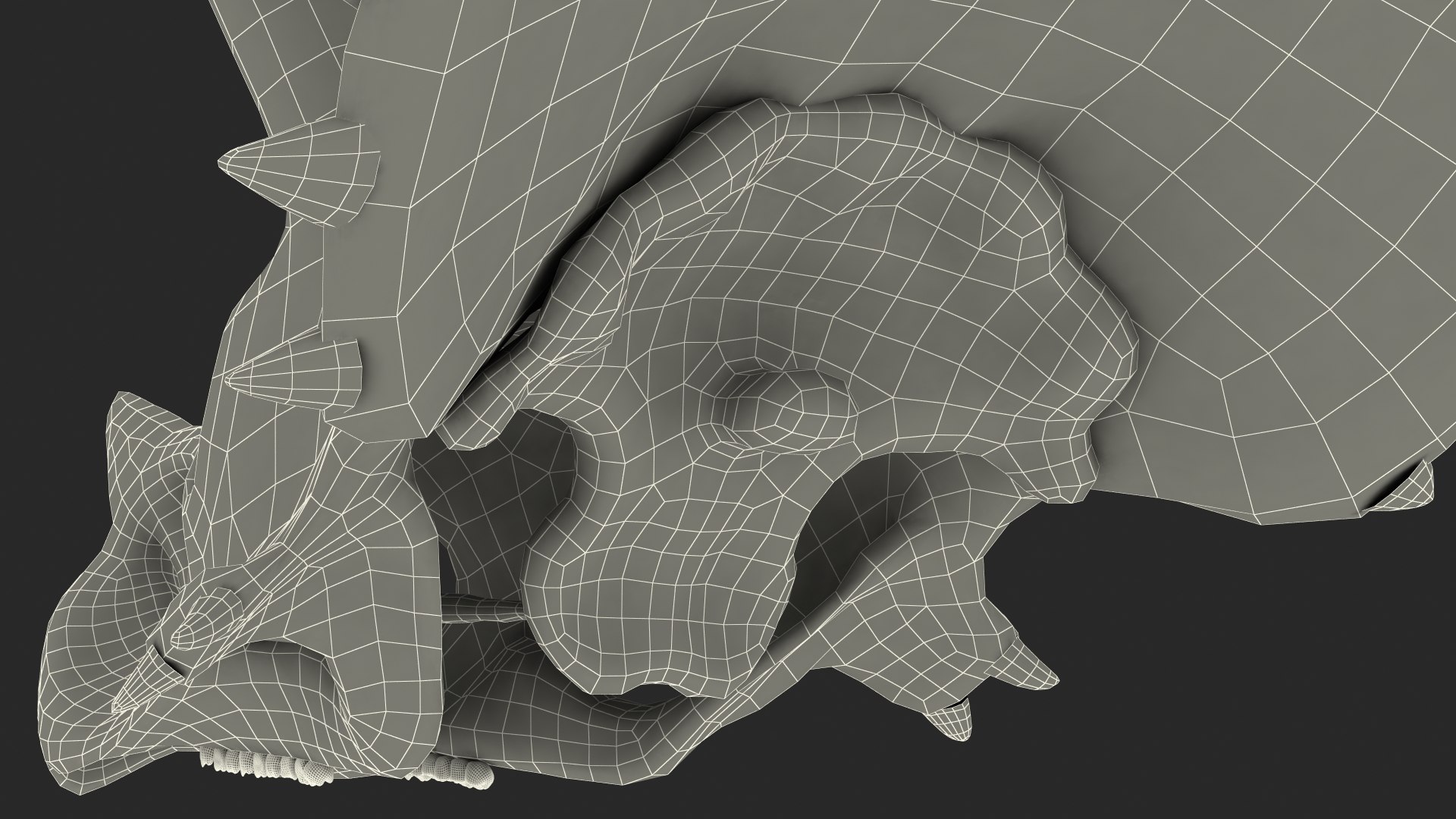 triceratops skull animal 3D model https://p.turbosquid.com/ts-thumb/OB/4tskwg/ojLfKySH/triceratopsskullpartmb3dmodel019/jpg/1580735346/1920x1080/fit_q87/445a3f2b142f0f67bb96052bdc594a8fd0b0fc06/triceratopsskullpartmb3dmodel019.jpg